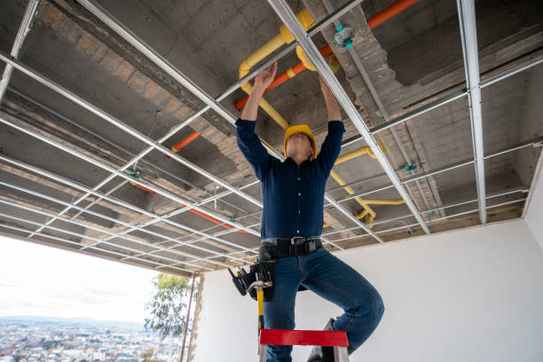 Best Plumbing Inspection Services  in Fitzgerald, GA